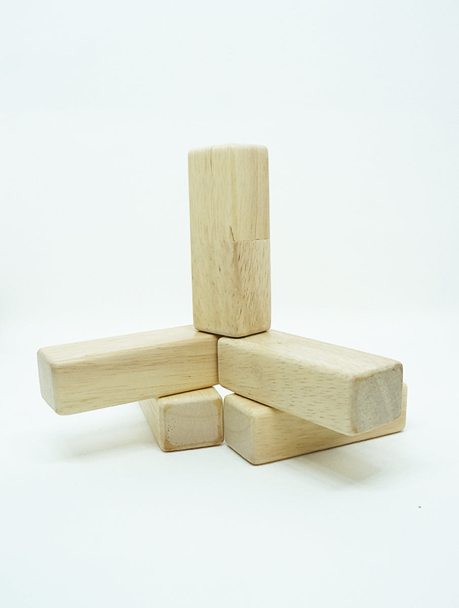 SIMPLE BLOCKS I 25 pc wooden block set I best for open-ended play & spatial learning I Unique wooden toy for 2 years+